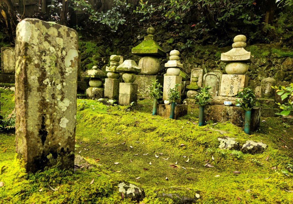 🏯 기원정사 (기온지) 이미지 5